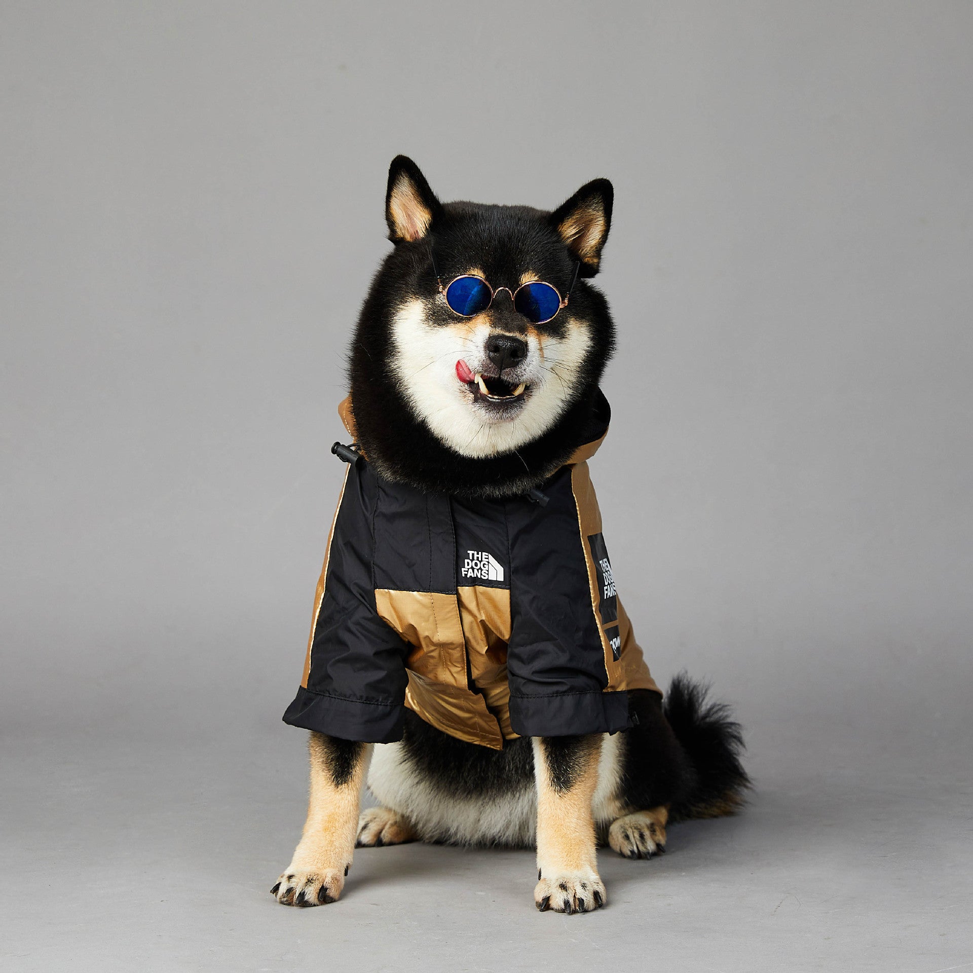 Why Your Dog Needs the Large Dog Raincoat Pet Jacket